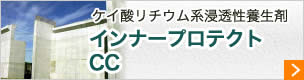 インナープロテクトCC